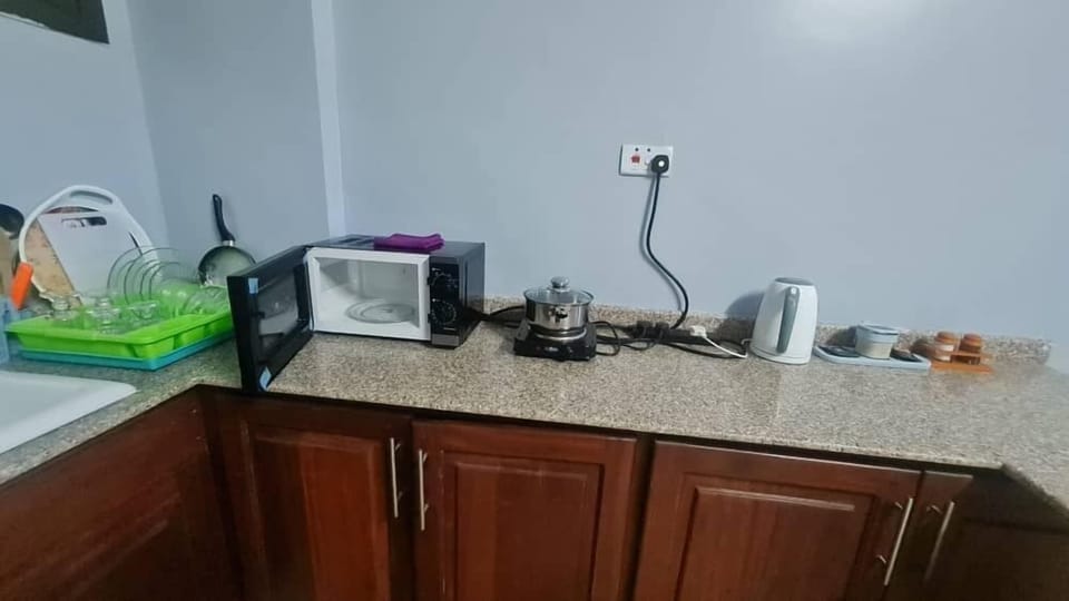 Deluxe Studio Suite | Private kitchen | Fridge, microwave, dishwasher, electric kettle