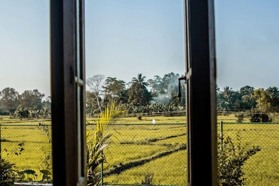 Garden view