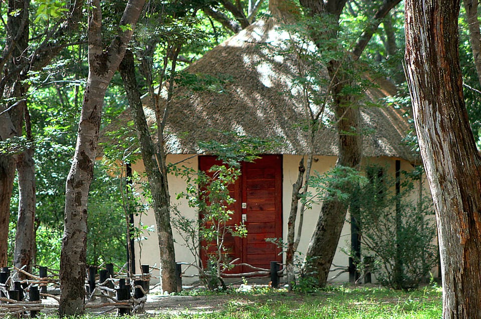 Forest Chalet | Terrace/patio