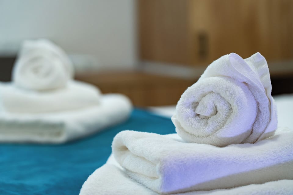 Standard Room, Mountain View | Egyptian cotton sheets, premium bedding, down comforters