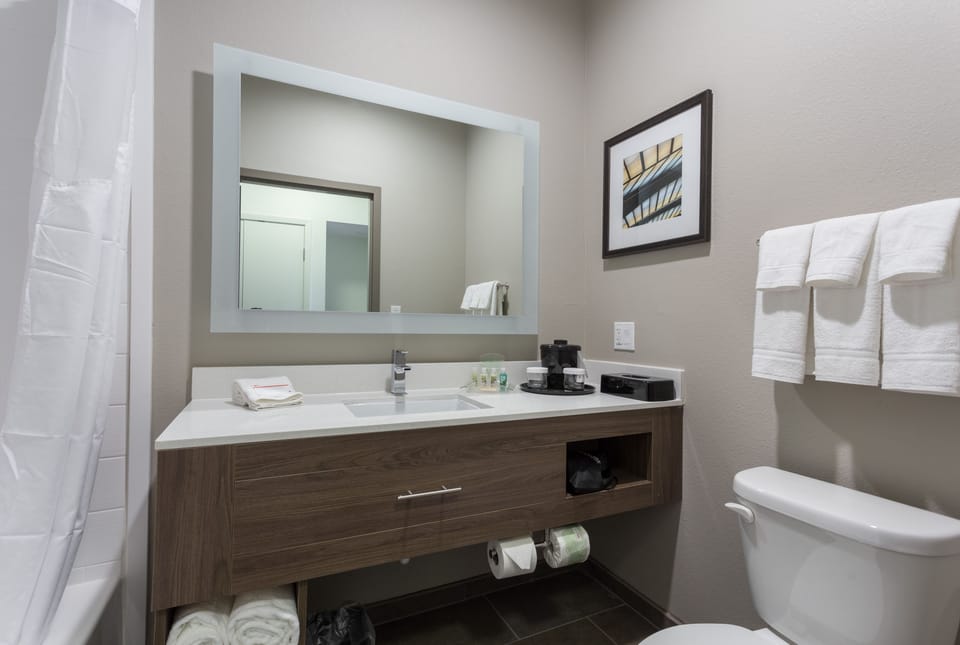Combined shower/tub, free toiletries, hair dryer, towels
