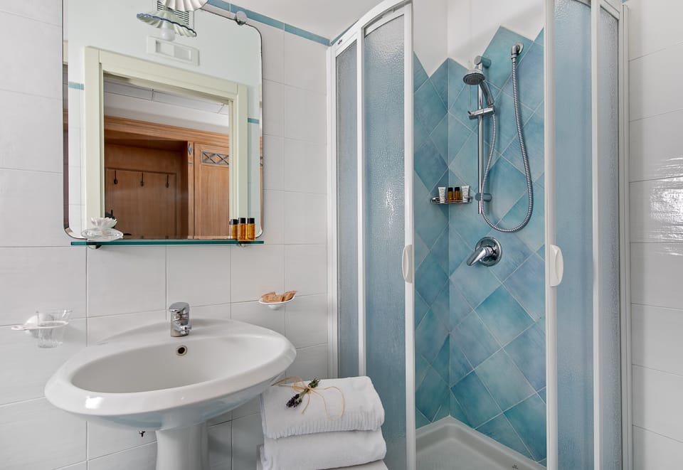 Shower, free toiletries, hair dryer, bidet