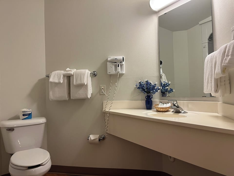 Studio Suite, Multiple Beds, Non Smoking (2 Queen Bed) | Bathroom | Combined shower/tub, free toiletries, hair dryer, towels