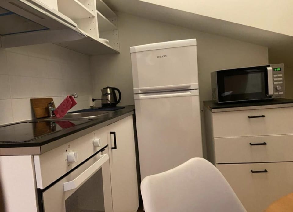 Apartment | Private kitchen | Fridge, microwave, oven, stovetop