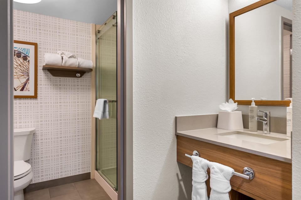 Room, 1 King Bed with Sofa bed | Bathroom shower