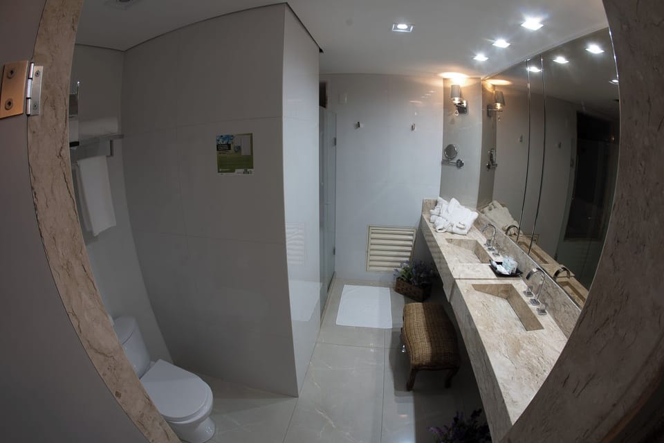 Presidential Room | Bathroom | Free toiletries, hair dryer, towels, soap