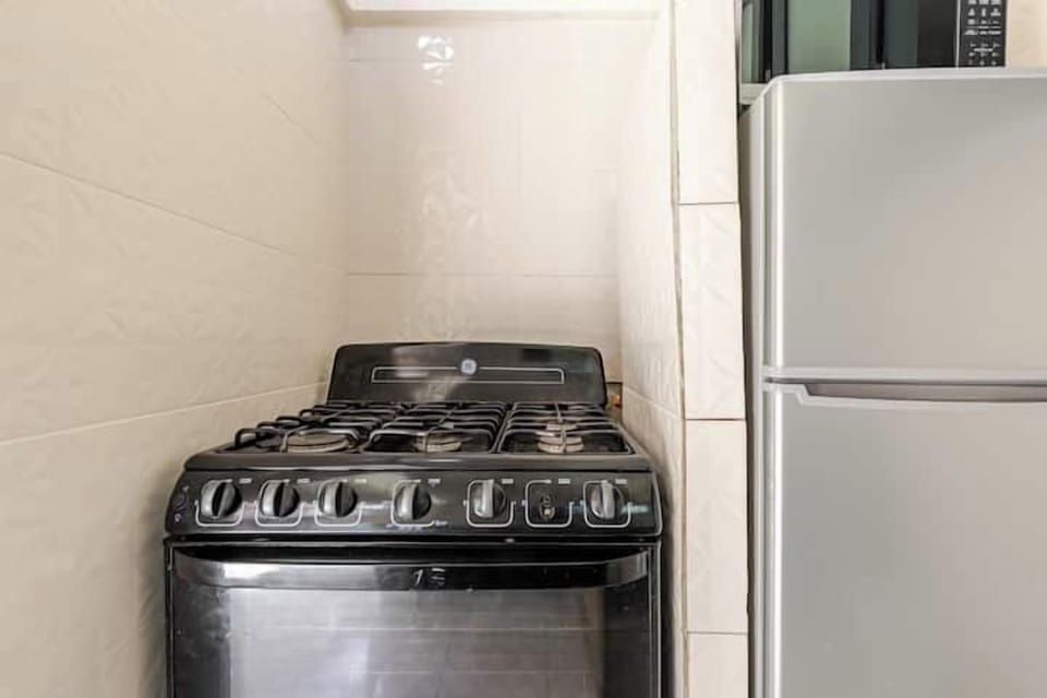 Comfort Apartment | Private kitchen | Full-size fridge, microwave, oven, electric kettle