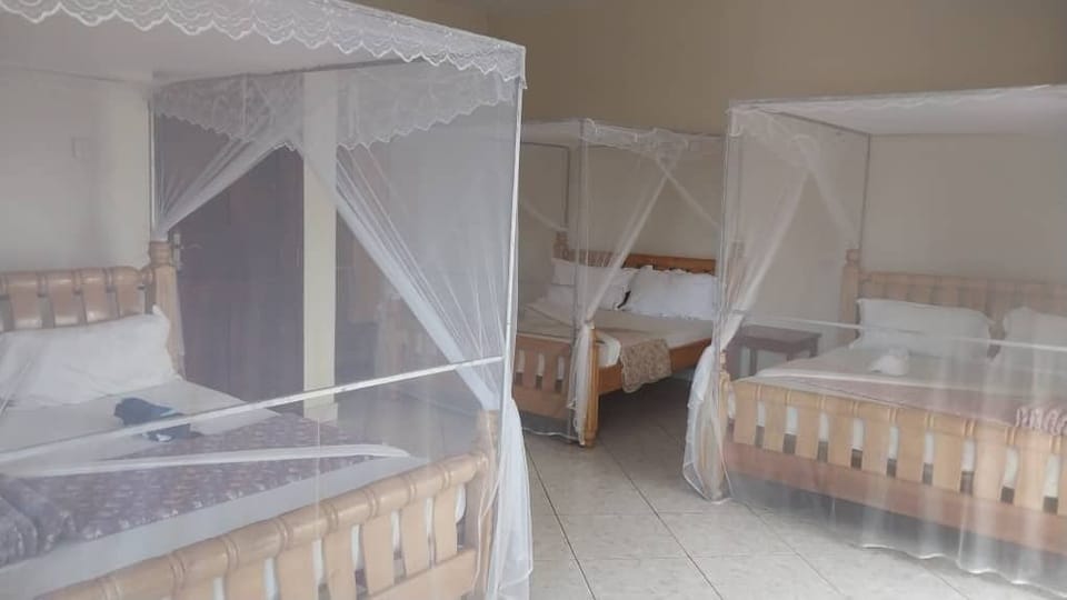 Premium bedding, desk, free WiFi, bed sheets