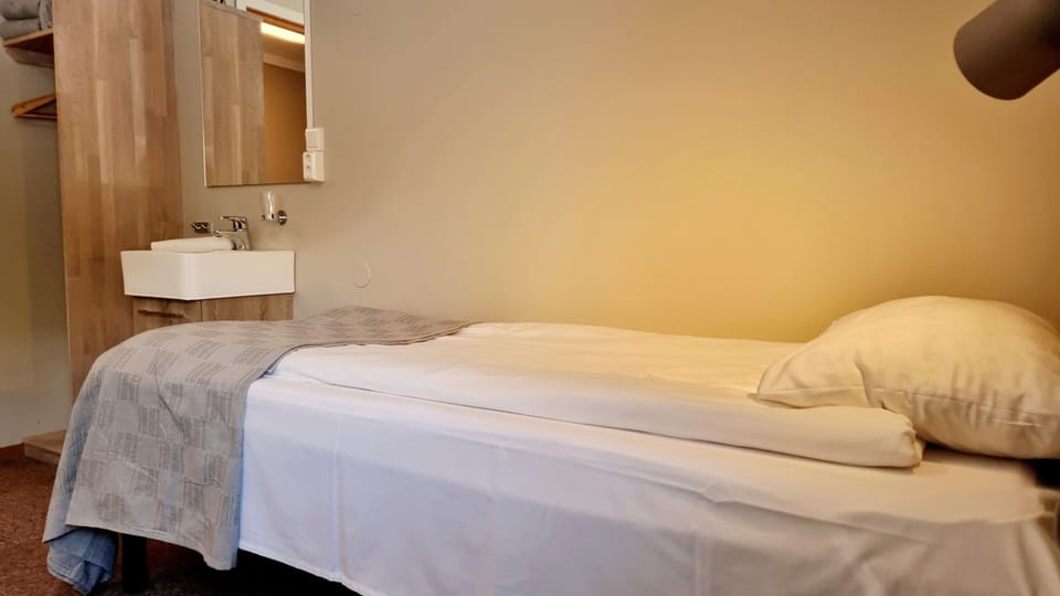 Double Room (Shared bathroom) | Pillowtop beds, soundproofing, iron/ironing board, free WiFi