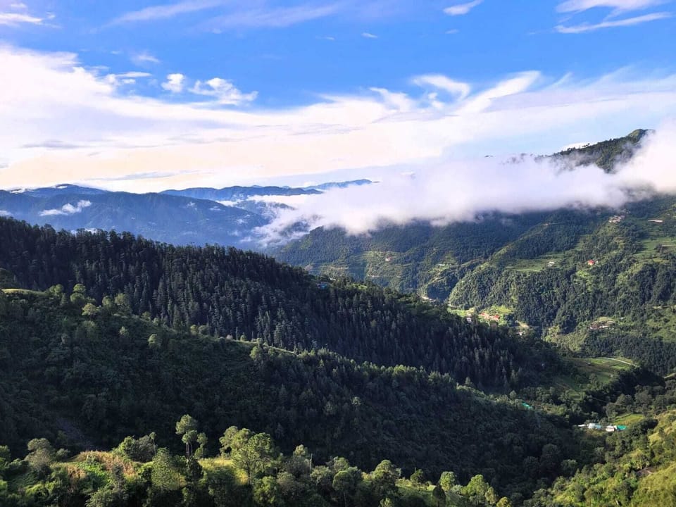 View from property