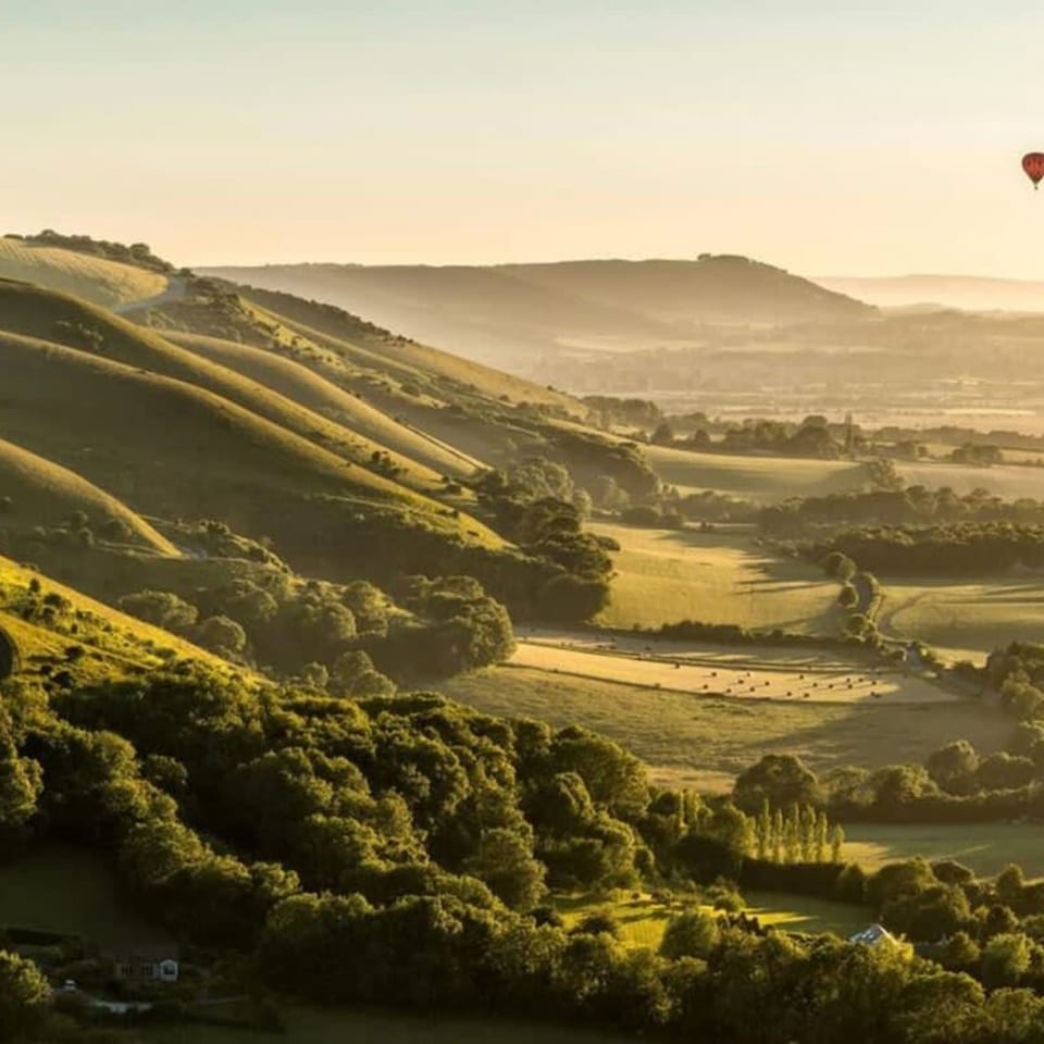 Studio | 5 bedrooms, Internet