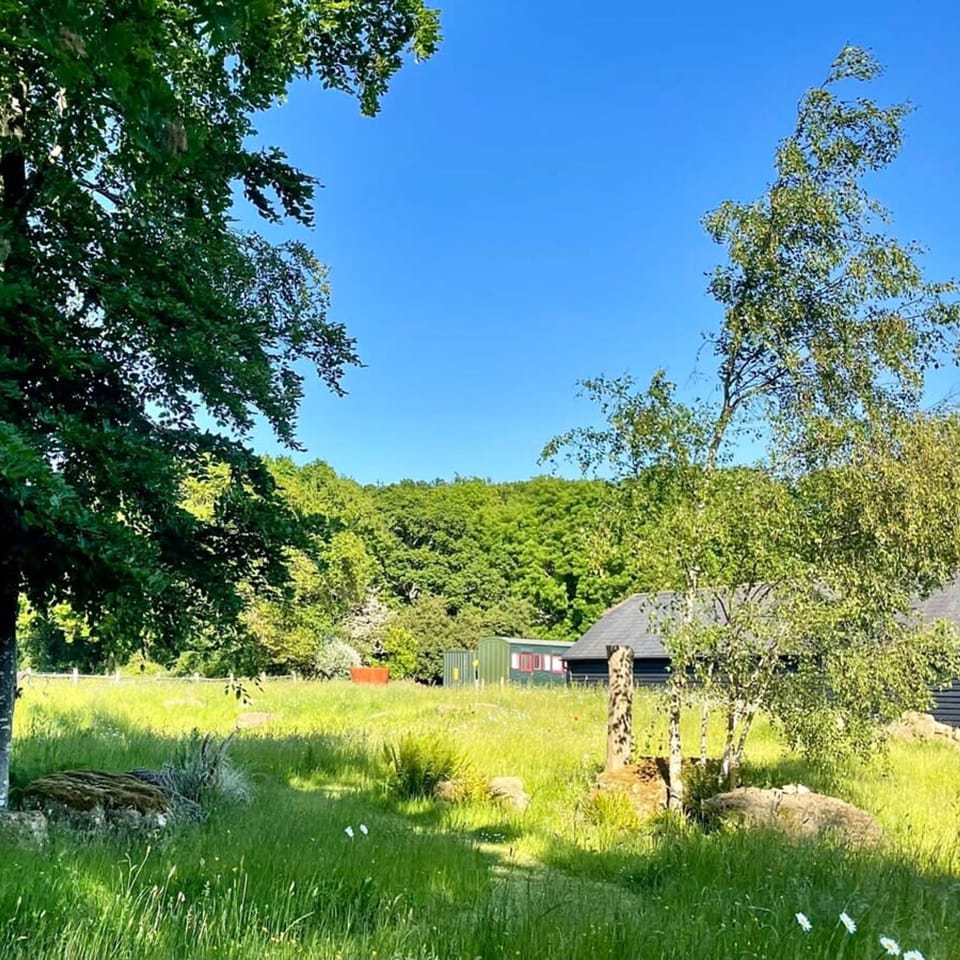 Studio | 5 bedrooms, Internet