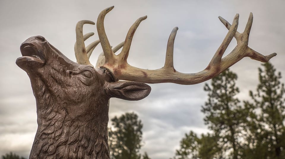 Design Cottage, Kitchenette, Mountain View | View from room