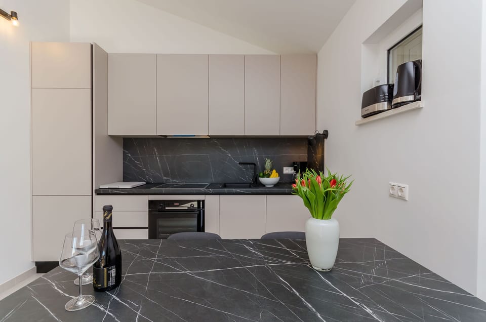 Apartment (A2) | Private kitchen | Fridge, microwave, oven, stovetop