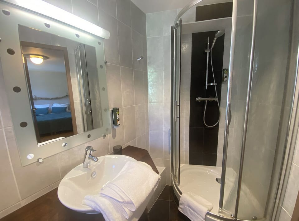 Premium Room | Bathroom | Free toiletries, hair dryer (on request)