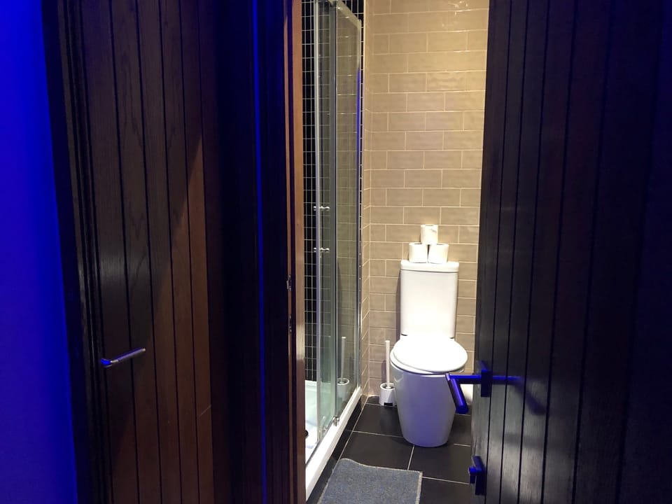 Combined shower/tub, free toiletries, hair dryer, towels