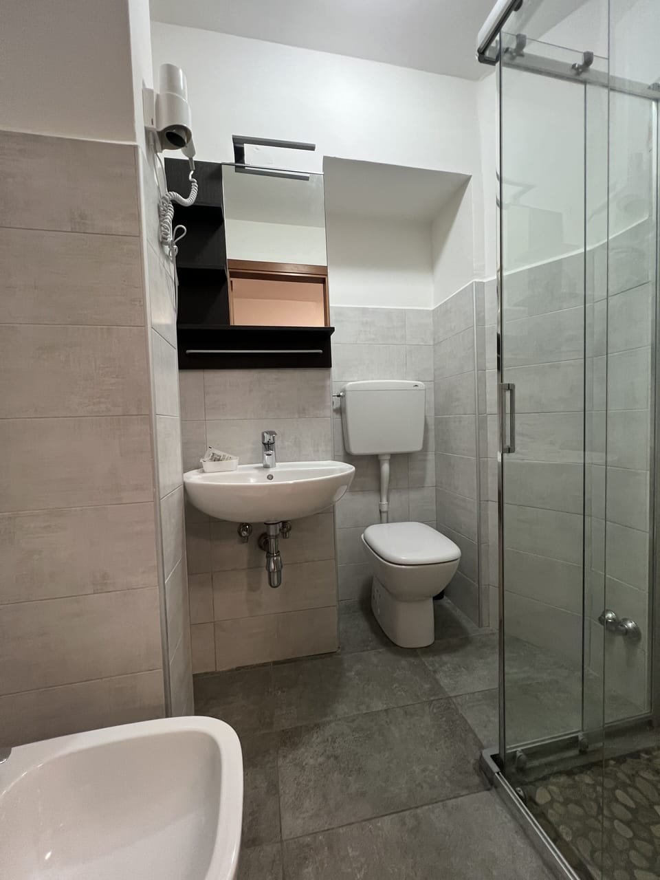 Shower, rainfall showerhead, bidet, towels