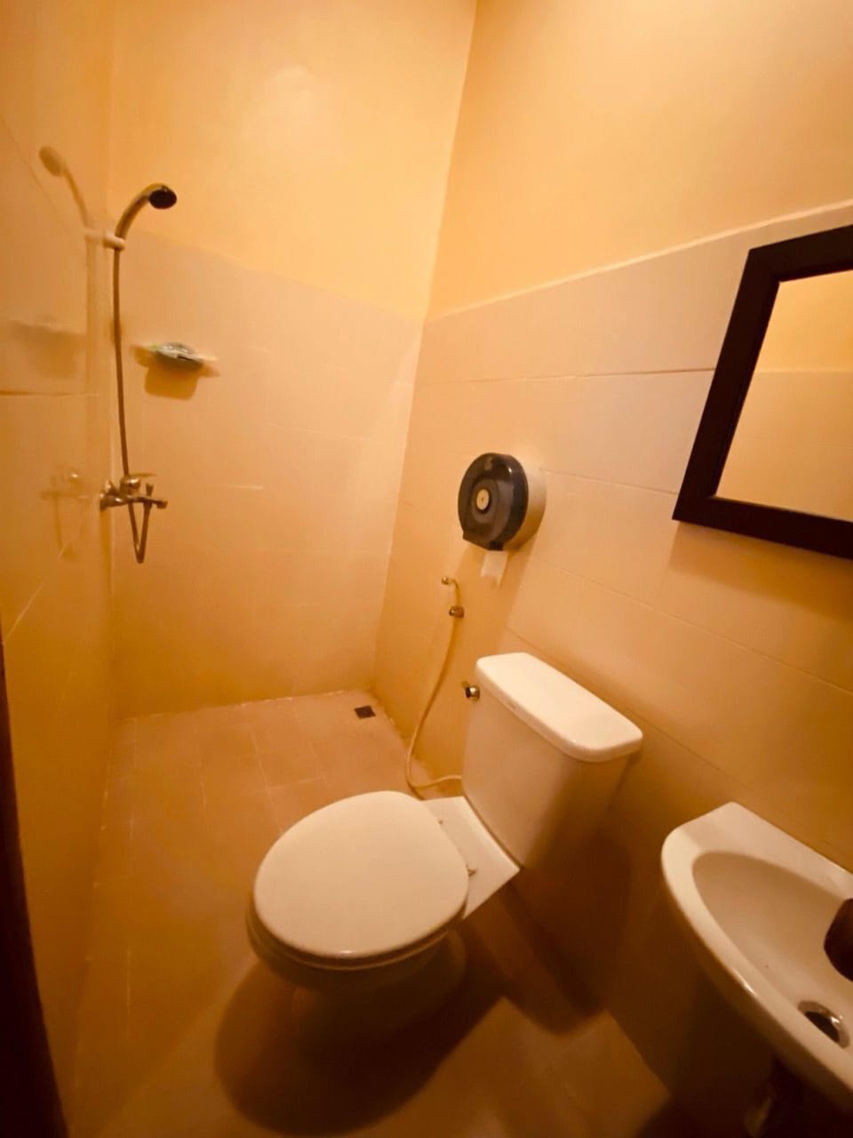 Shower, hydromassage showerhead, free toiletries, hair dryer