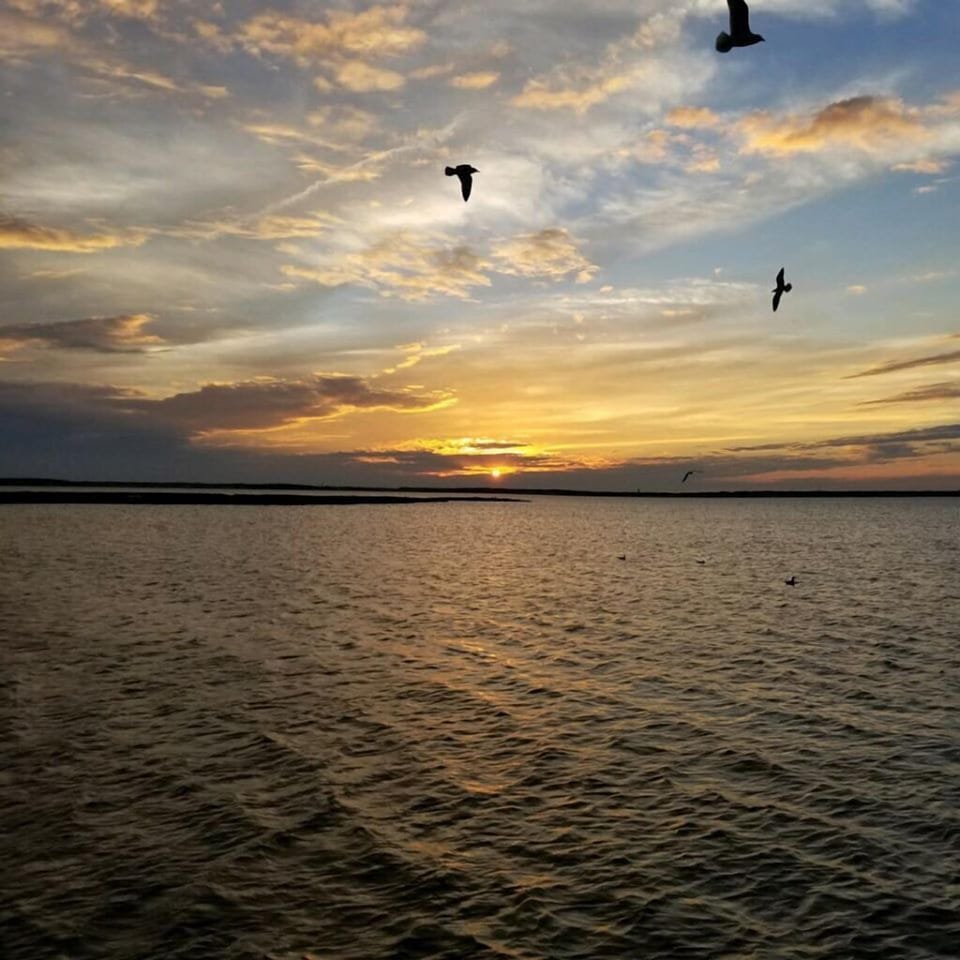 Water view
