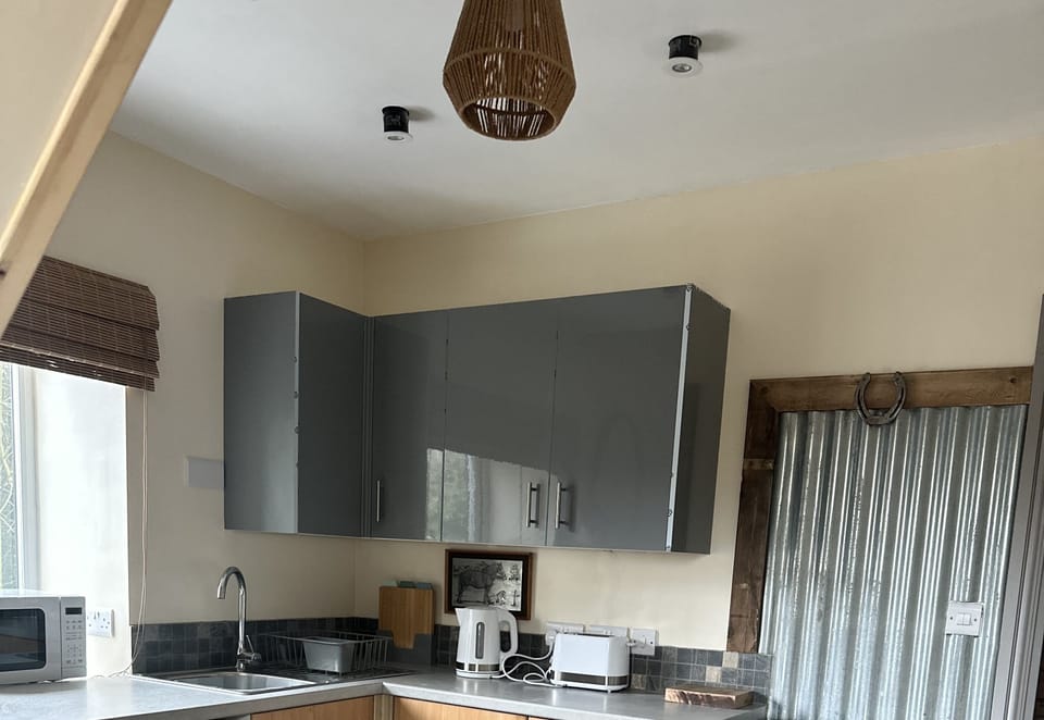 Apartment | Private kitchen | Fridge, microwave, oven, stovetop