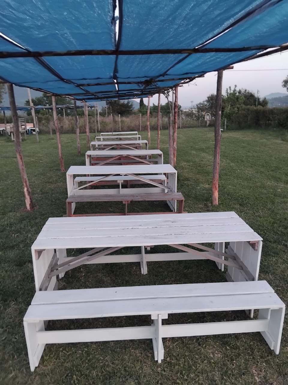 Basic Tent | Terrace/patio