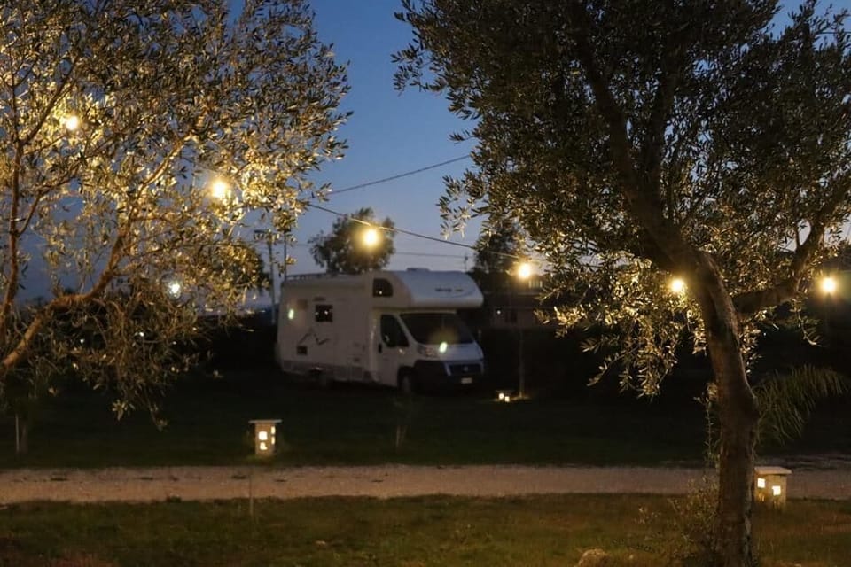 Basic Tent | In-room dining