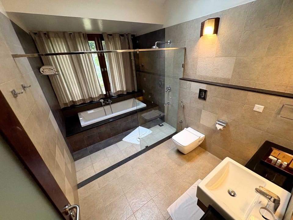 Superior Double Room | Bathroom | Shower, free toiletries, hair dryer, bathrobes