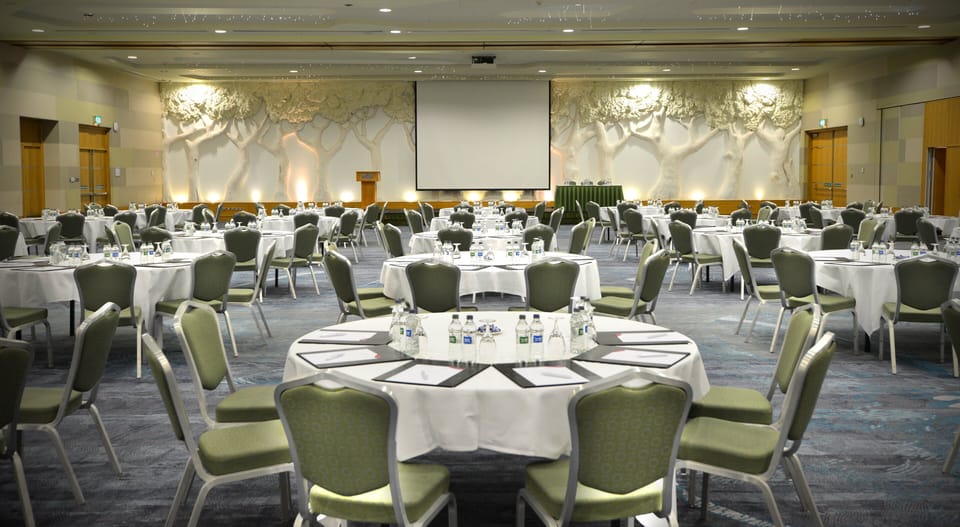 Crowne Plaza Dublin Airport by IHG Hotel in Dublin