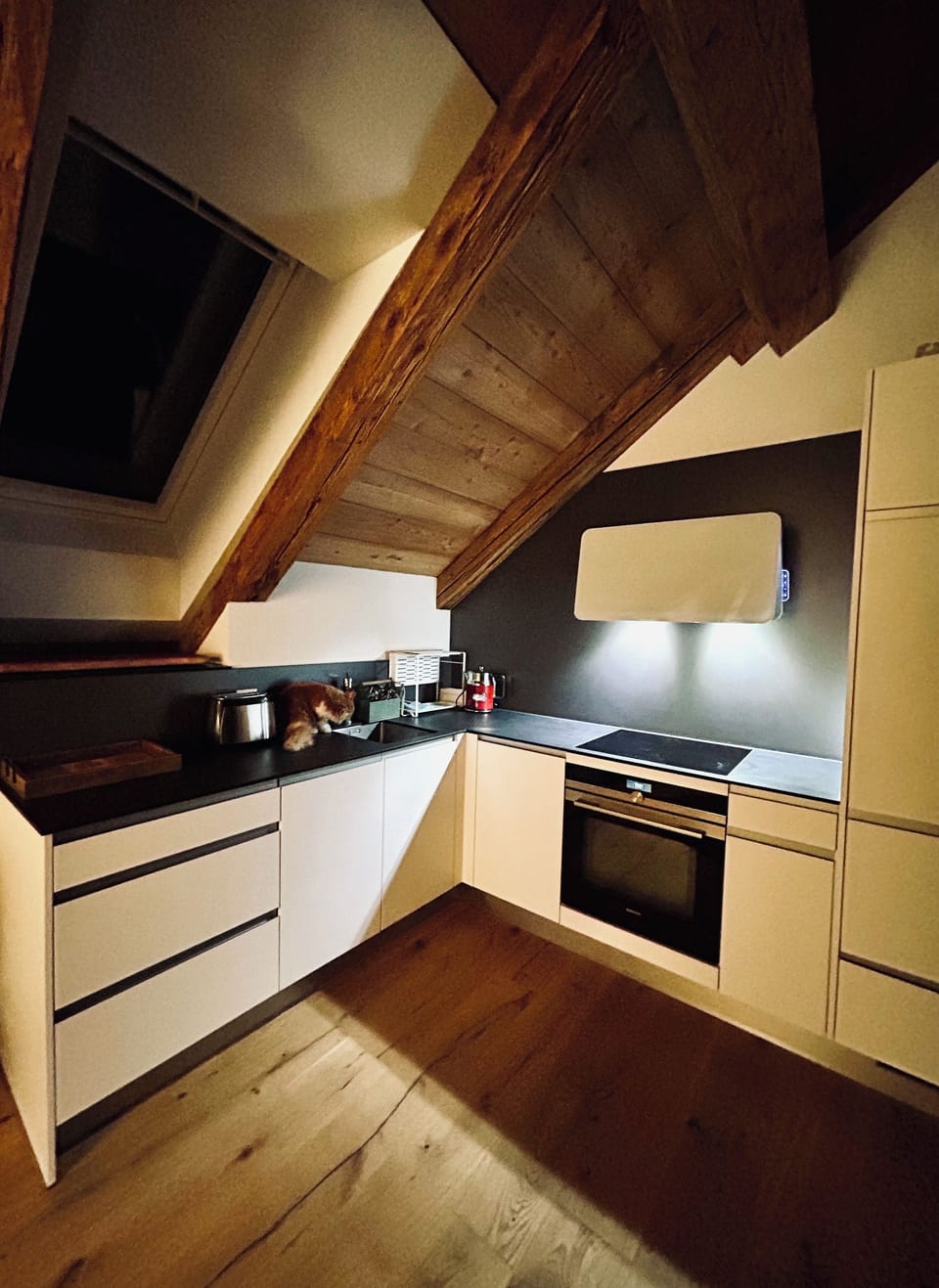 Family Studio Suite | Private kitchen | Shared fridge