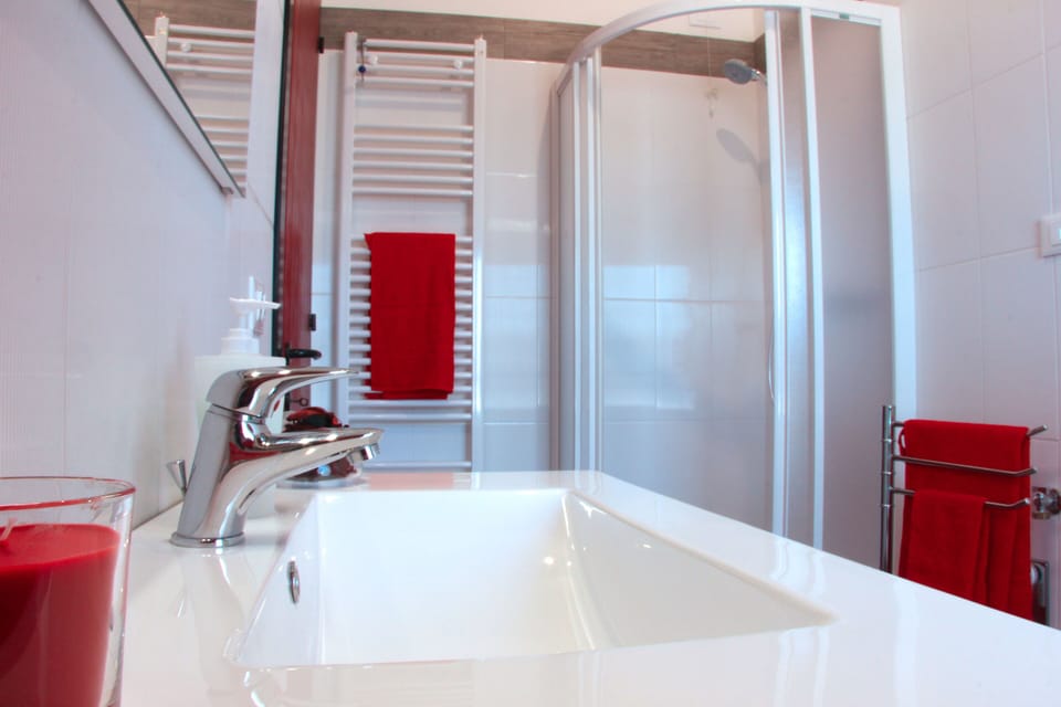 Apartment | Bathroom | Shower, towels, toilet paper