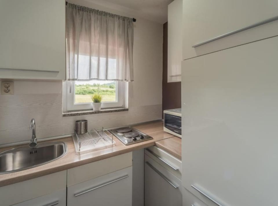Apartment (Two Bedroom Apartment and Balcony) | Private kitchen | Fridge