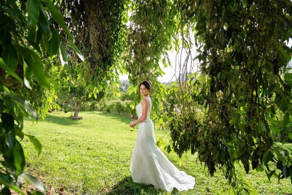 Toys, smart speakers