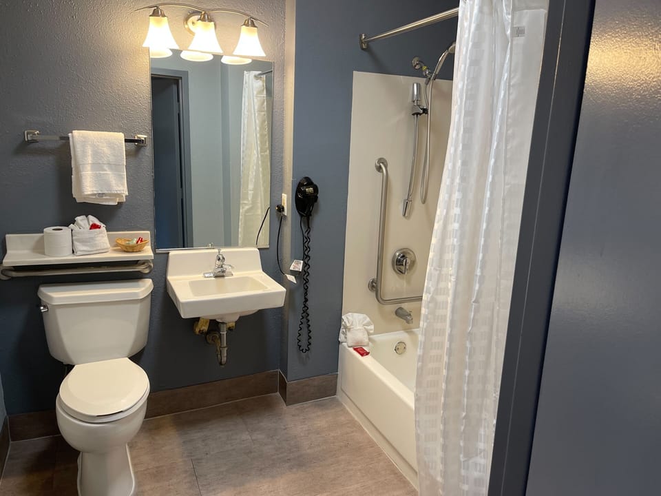 Standard Room, 1 King Bed, Accessible, Refrigerator & Microwave | Bathroom | Combined shower/tub, free toiletries, hair dryer, towels