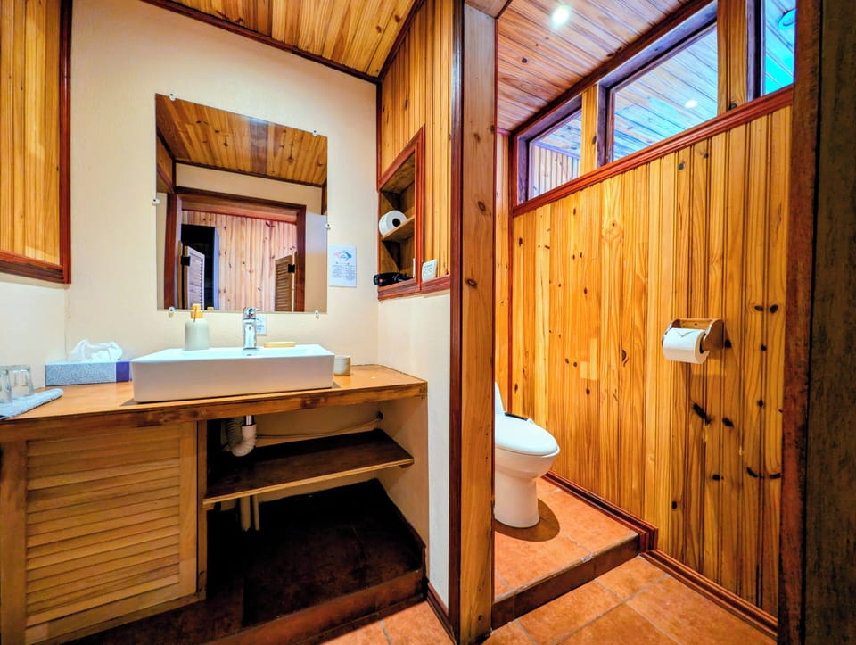 Superior Studio, City View | Bathroom | Free toiletries, hair dryer, towels, soap