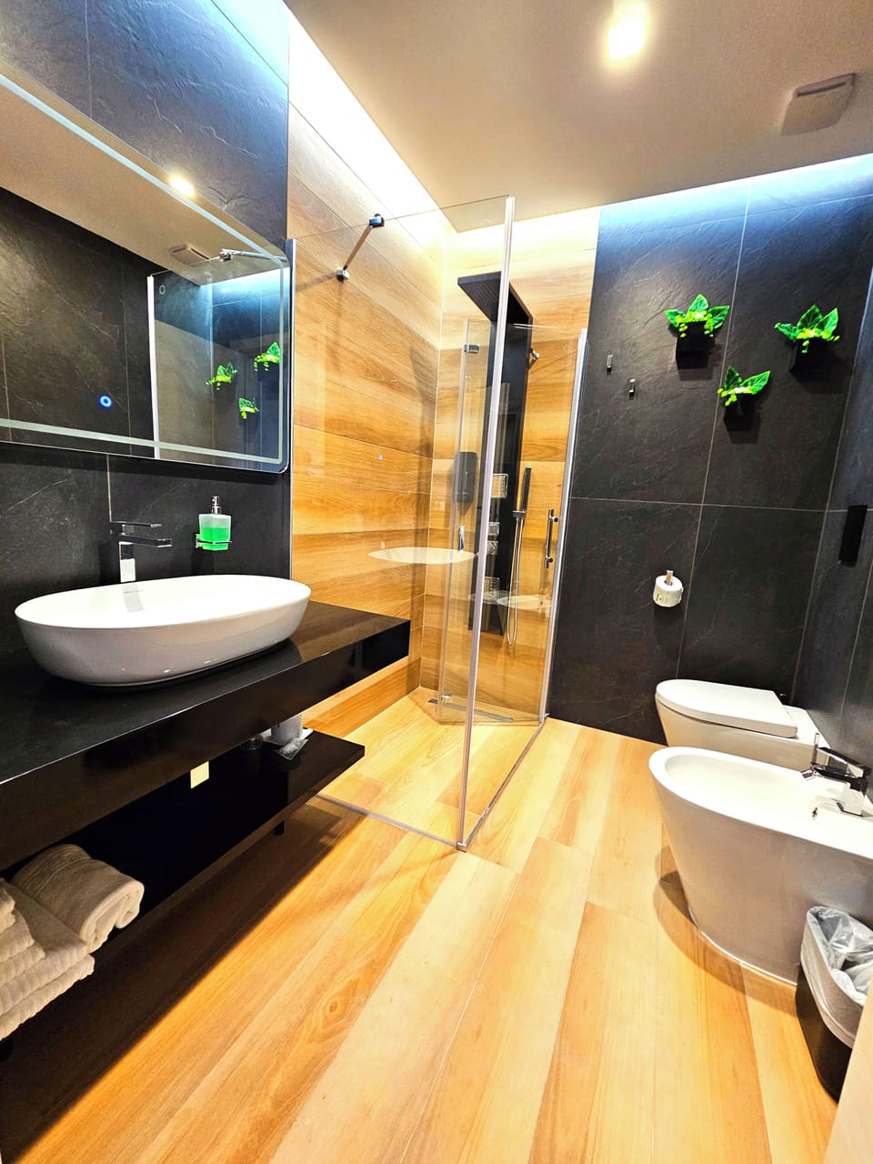 Shower, hydromassage showerhead, free toiletries, hair dryer