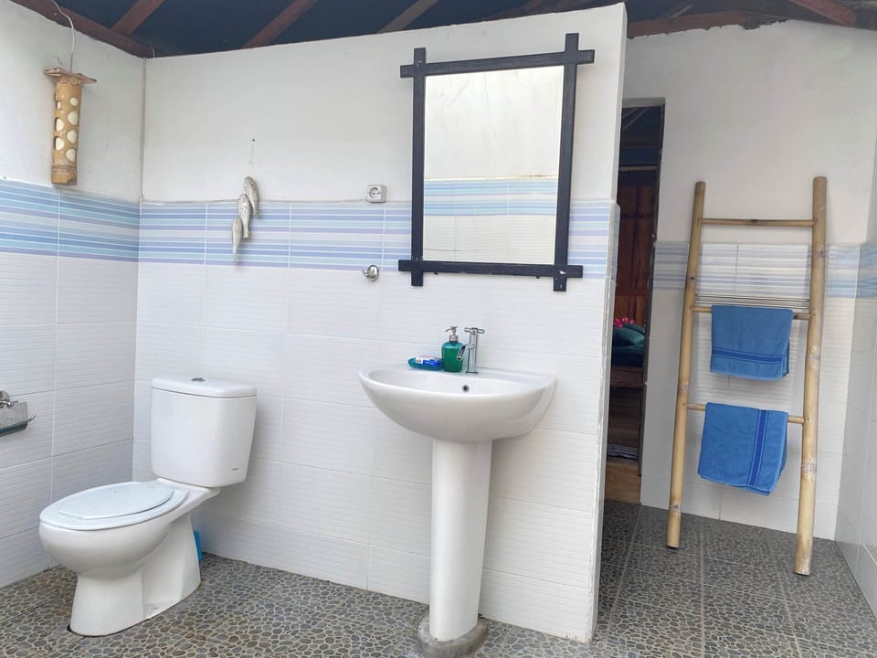 Deluxe Bungalow, Private Bathroom, Ocean View | Bathroom | Rainfall showerhead, towels