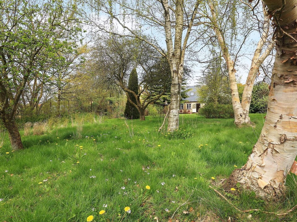 House | View from property