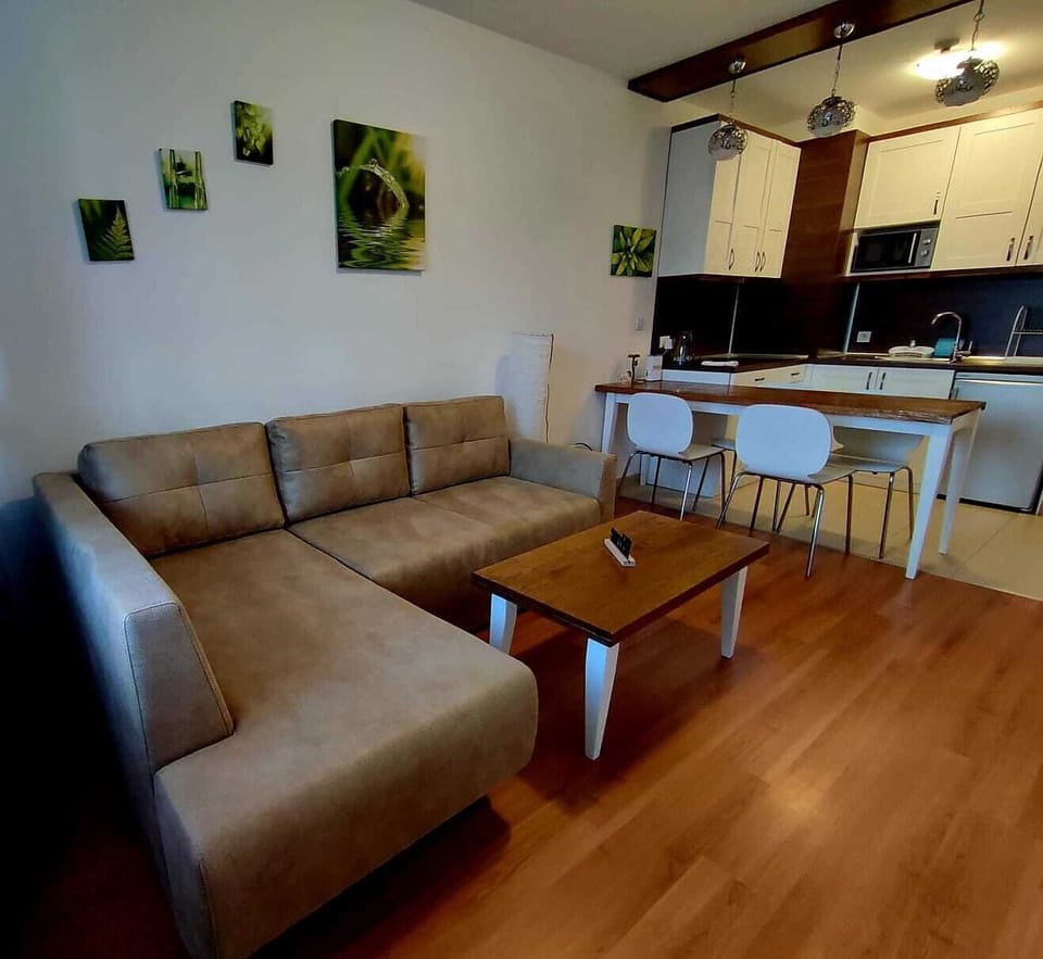 Comfort Apartment, Mountain View | Living area | 55-cm flat-screen TV with cable channels