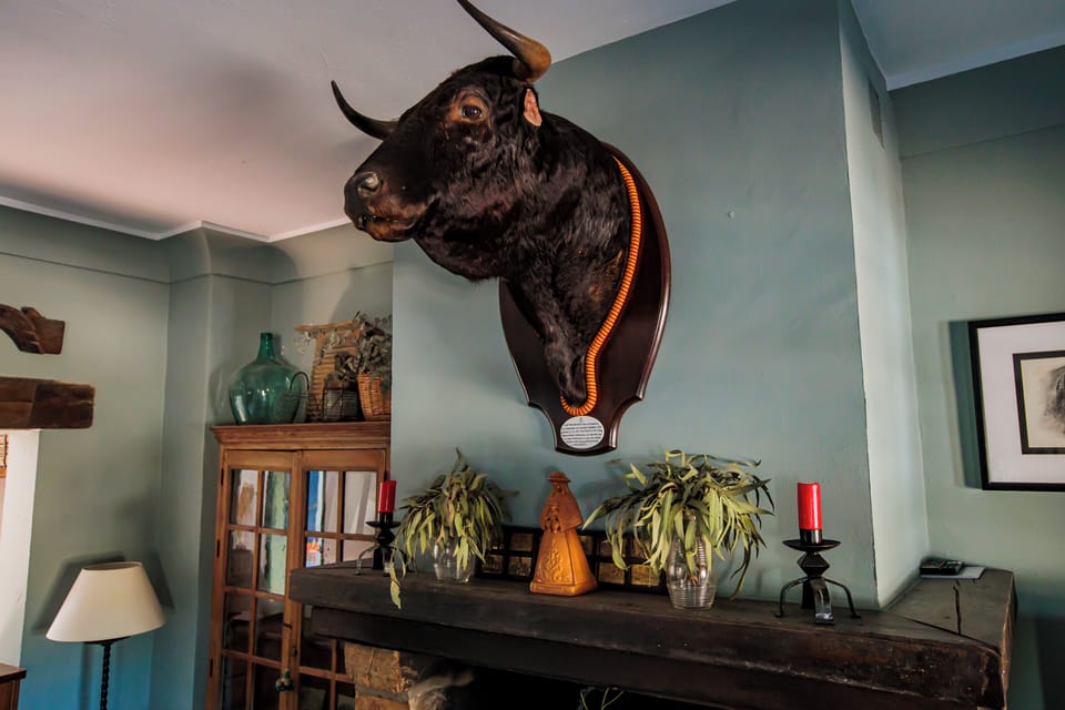 HN Romero 18 Bed and Breakfast in Costa de la Luz