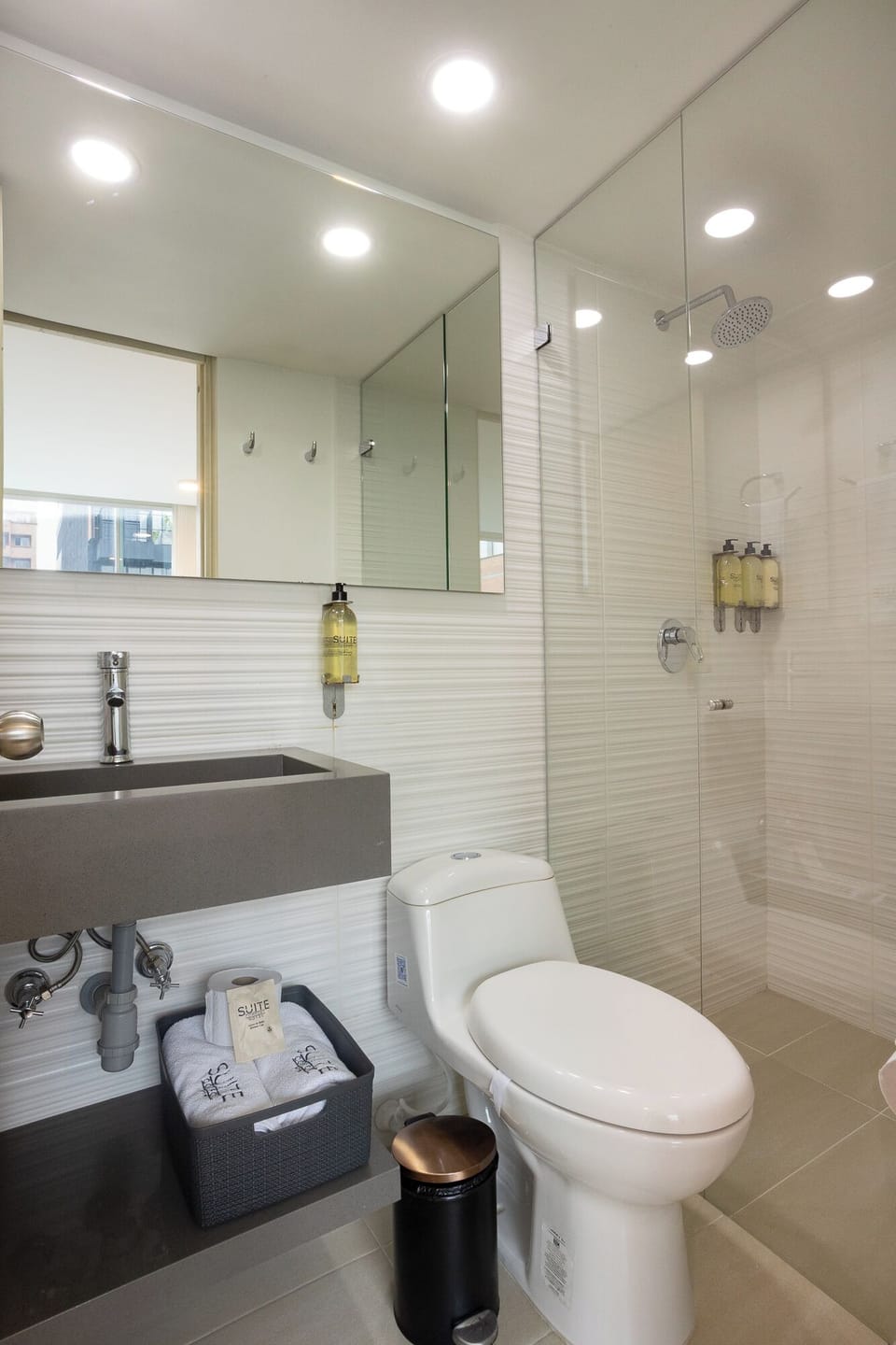 Habitacion Superior Interna | Bathroom | Shower, free toiletries, hair dryer, towels