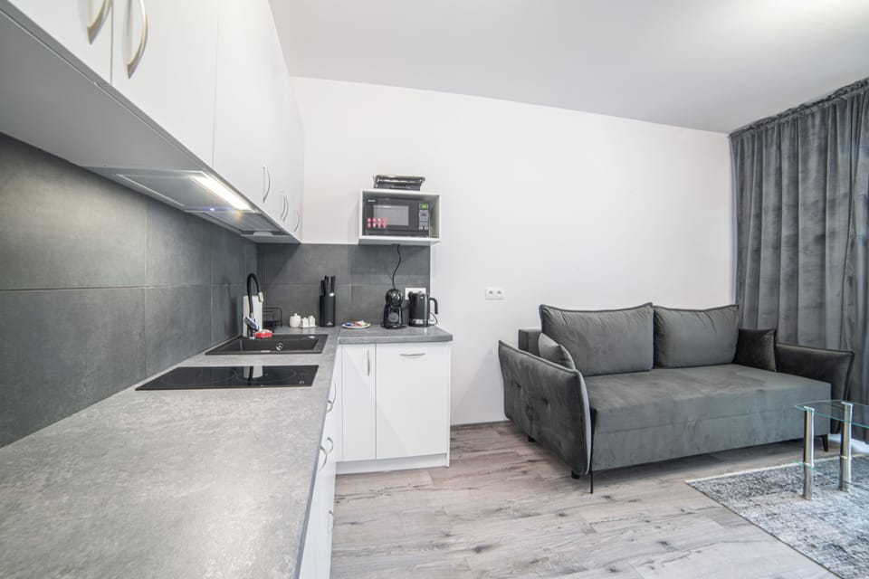 Classic Apartment, 1 Double Bed with Sofa bed | Living room