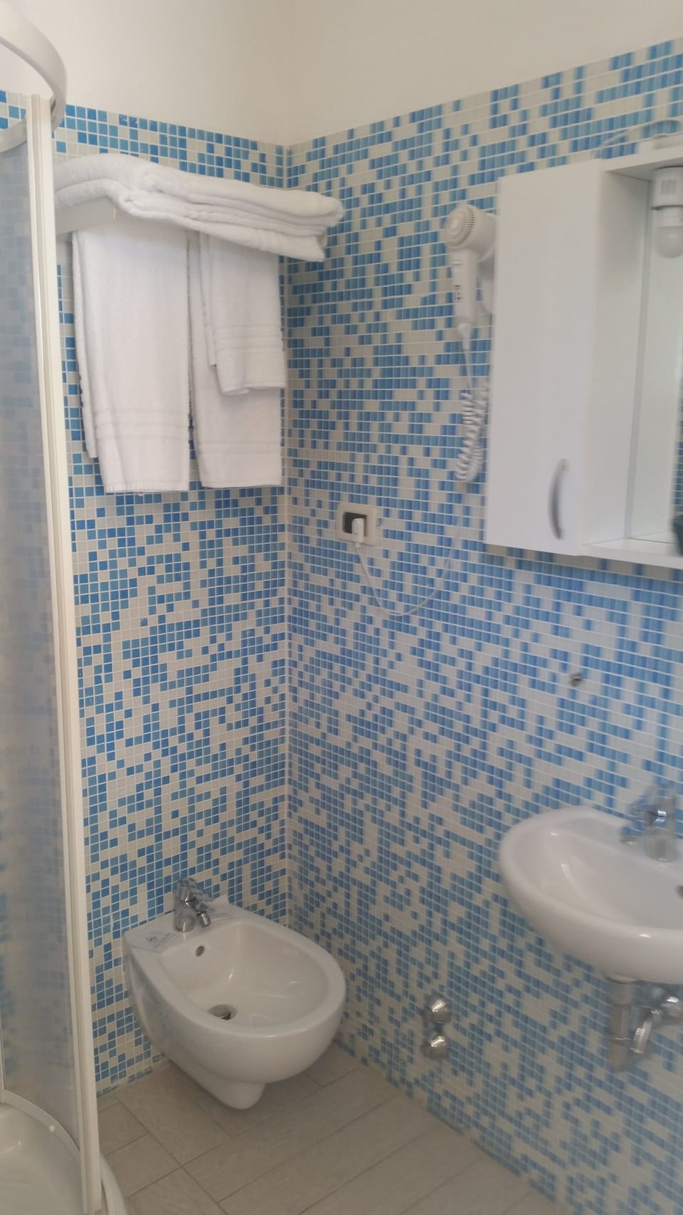 Shower, free toiletries, hair dryer, bidet