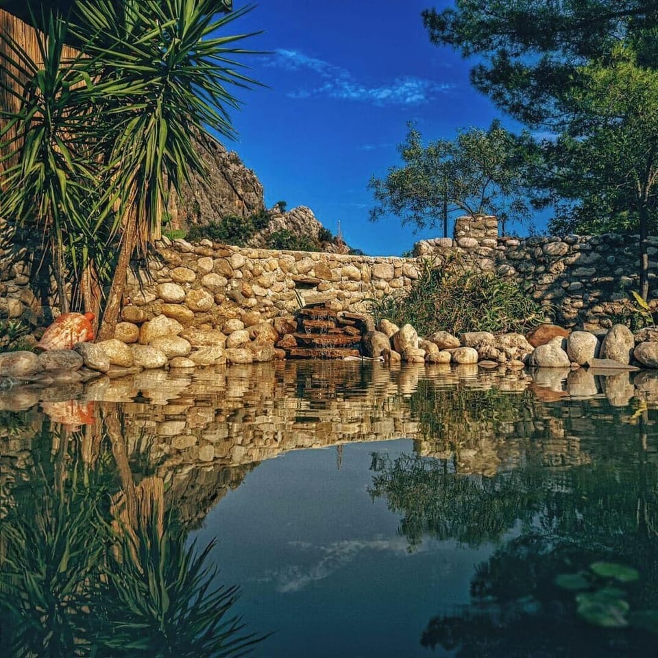 Garden view