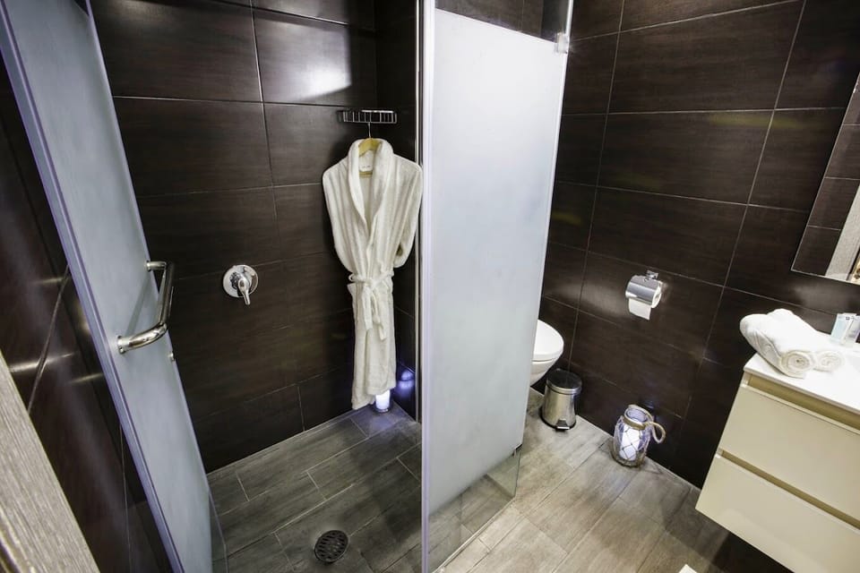 Shower, free toiletries, hair dryer, bathrobes