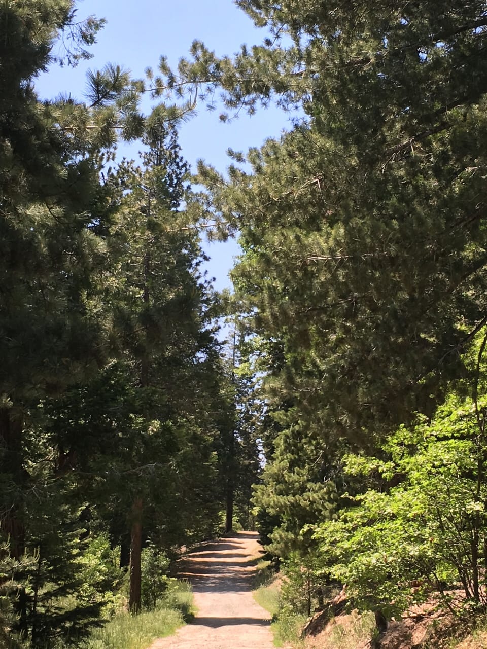 Hidden Creek (Non-Pet)  | View from room