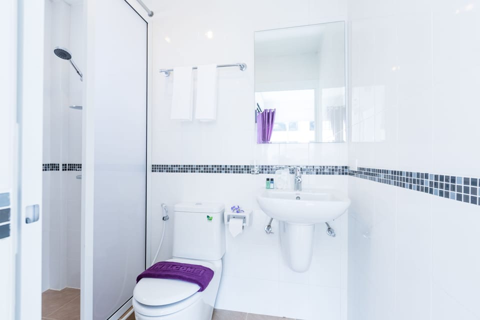 Shower, free toiletries, hair dryer, bidet