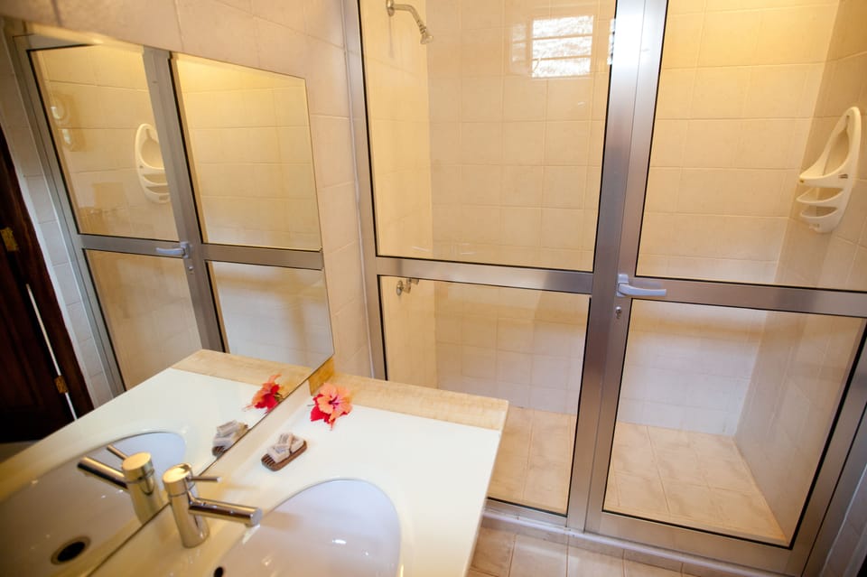 Shower, free toiletries, hair dryer, towels