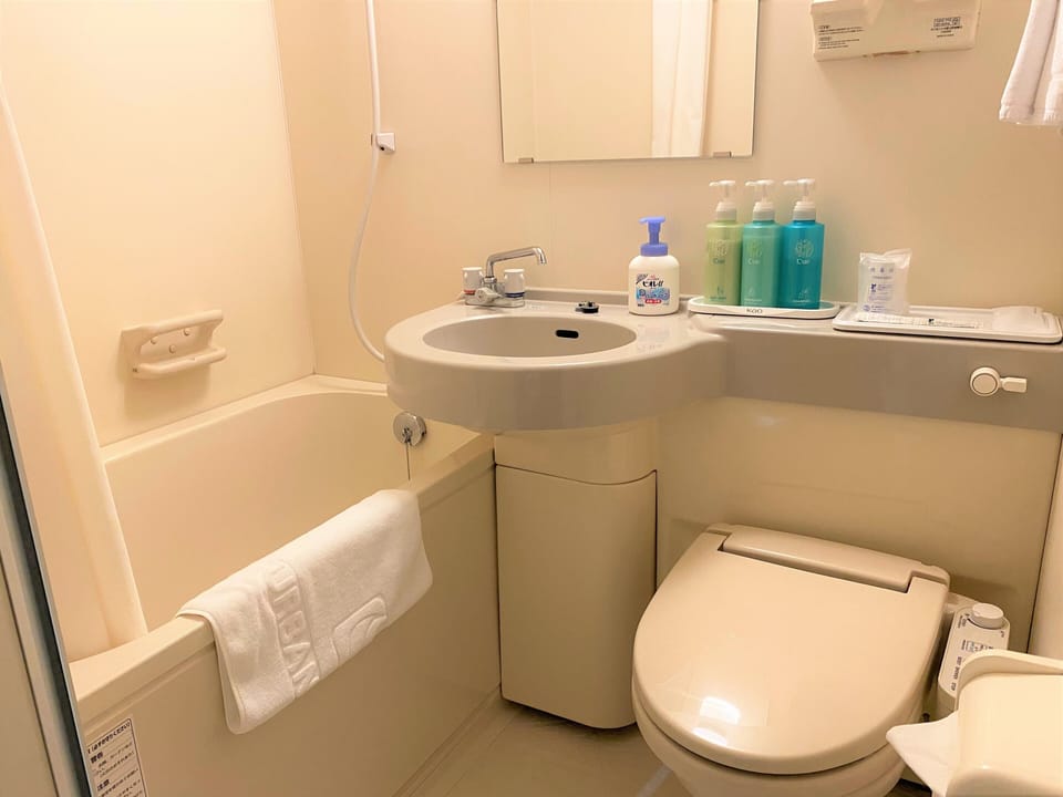 Combined shower/tub, hair dryer, slippers, bidet