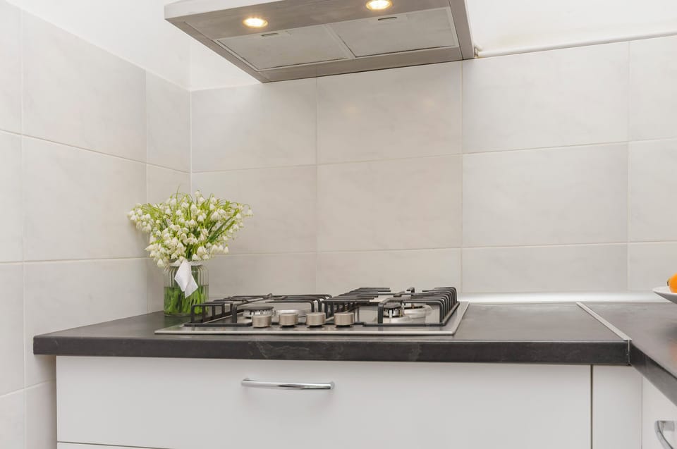 Apartment (A1) | Private kitchen | Fridge, microwave, oven, stovetop
