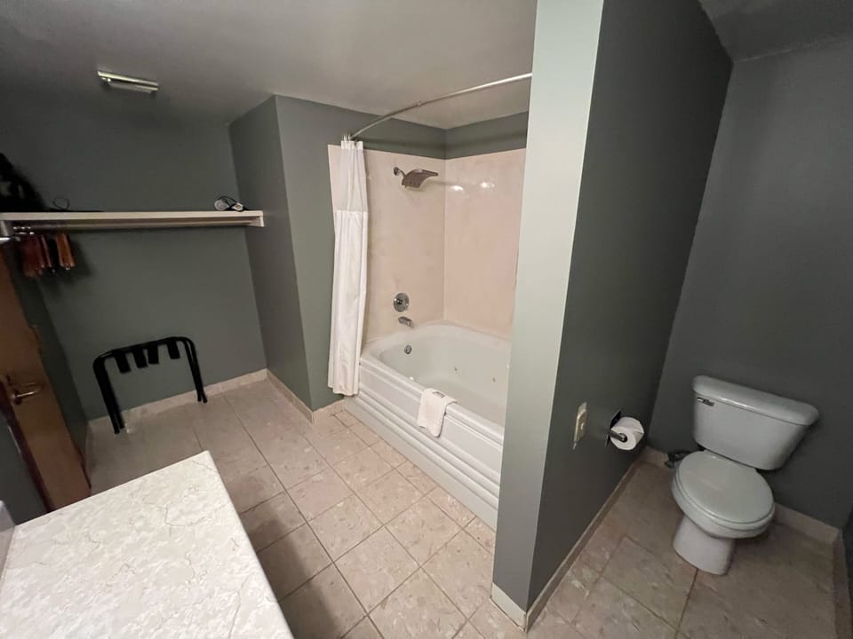 Deluxe Room, 1 King Bed, Lake View | Bathroom | Combined shower/tub, hair dryer, towels, soap